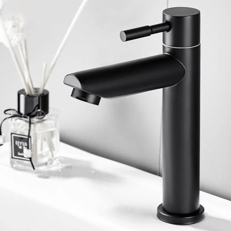 Wall Mounted Kitchen Faucet Single Cold Faucet Stainless Steel