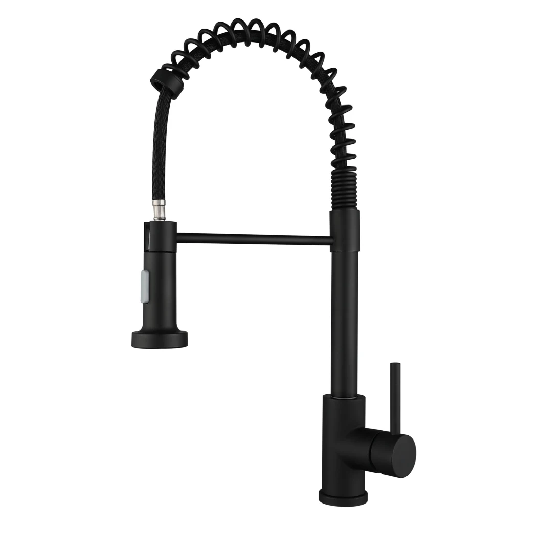 Landonbath Matte Black Stainlsess Steel SUS304 Kitchen Faucet