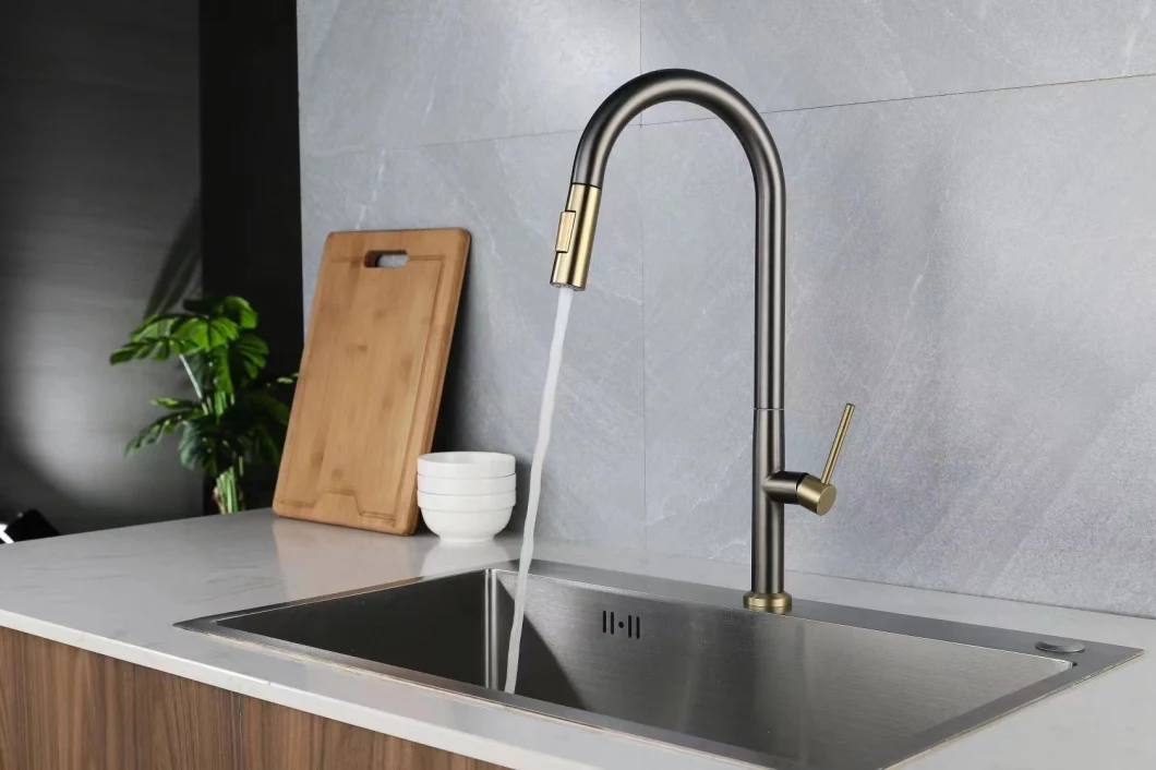 Solid Brass Pull-out Kitchen Sink Faucet