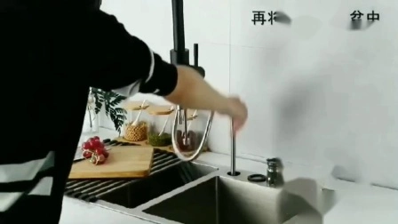 Foshan Einhand-Einloch-Küchenarmatur mit herausziehbarer Feder, mattschwarz (BMS-21021K)